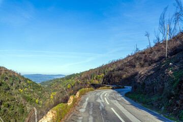 A winding asphalt portuguese  road curves right