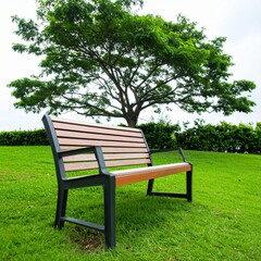 Fototapeta premium Empty wooden park bench in lush green field under large tree on cloudy day