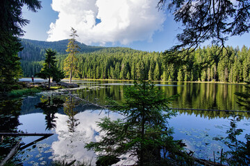 Blick auf den Gro&szlig;en Arbersee im Nationalpark Bayerischer Wald, Bayern, Deutschland