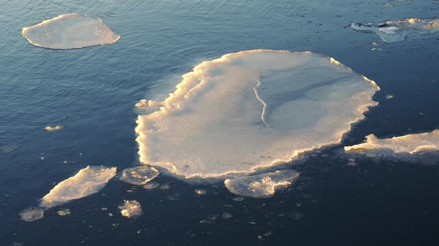 Close up of a single ice floe floating on deep blue sea water at sunrise.