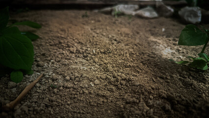 Soil background photos illustration