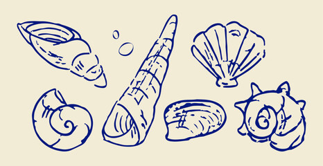 Hand drawn blue sea shells collection vector illustrations in grunge chalk or charcoal rough doodle sketch style elements isolated on light background © Chinese