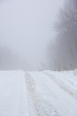 Obraz premium Very late winter foggy scene in Gauja National Park in Latvia in the end of February