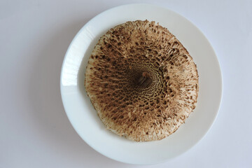 Parasol mushroom cap on a white plate, top view