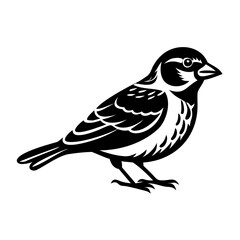 Obraz premium A black and white drawing of a small bird Vector