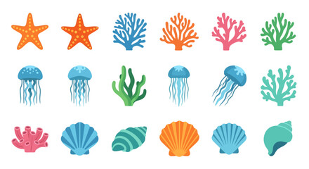 Vibrant ocean creatures including starfish, jellyfish, coral, seashells, and seaweed are depicted in a colorful illustration from a direct viewpoint.