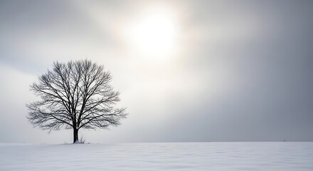 Solitary Bare Tree in Snow Covered Field Under Winter Sky
