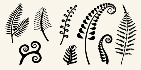 Black silhouettes of various fern fronds and spiral botanical shapes © AnupKumar