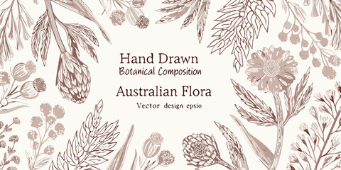 Detailed hand drawn botanical illustration of australian flora and wildflowers