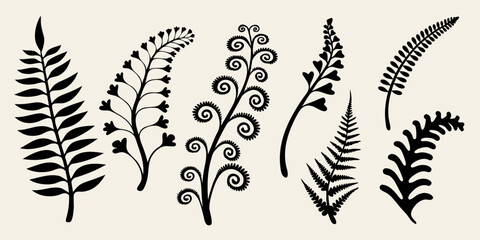 Stylized botanical illustrations of various fern and leaf shapes © AnupKumar