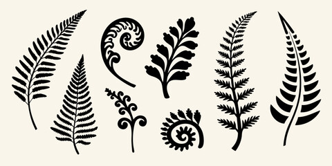 Elegant collection of black fern leaves and botanical illustrations © AnupKumar
