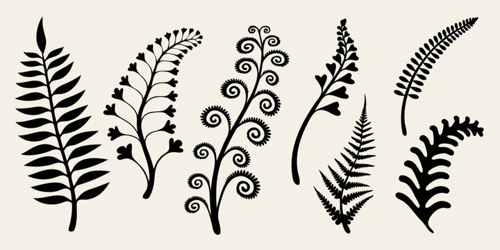 Stylized botanical illustrations of various fern and leaf shapes