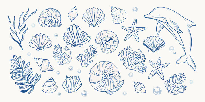 Blue line art illustration of seashells coral starfish and a dolphin