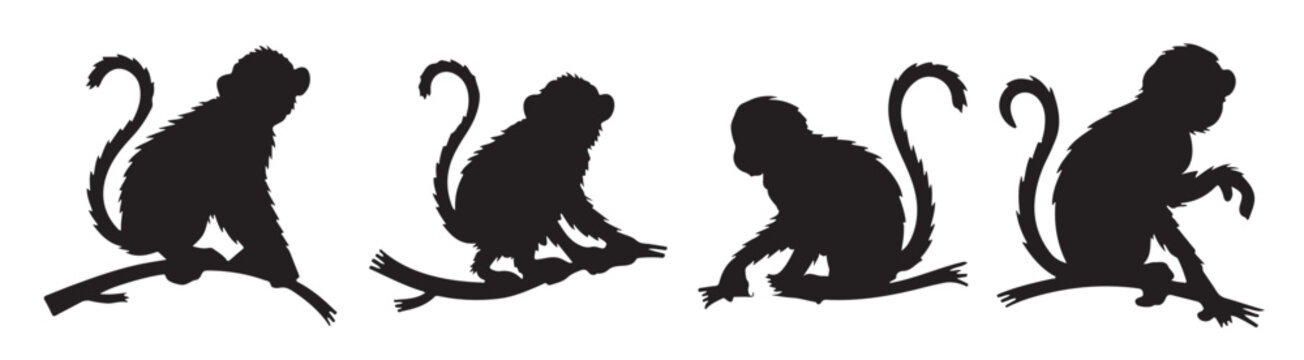 monkey silhouettes set