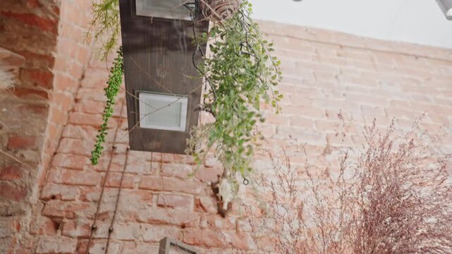 Rustic brick florist studio with dried, overhead arch and hanging vines, pampas plumes and dried grasses, display shelves with vintage containers, seasonal wreaths and holiday doll accent, artisan