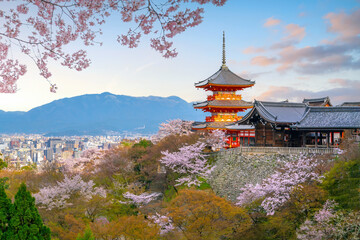 Sunset View of Kiyomizu dera Temple Pagoda Framed by Cherry Blossoms in Kyoto