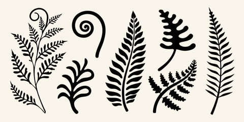 Black botanical illustrations of various fern and leaf designs © NaderAli