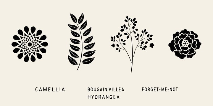Botanical illustration of four different flower silhouettes in black