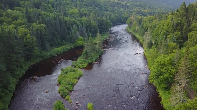 fleuve Saint-Laurent dans le parc national de la Mauricie au Canada