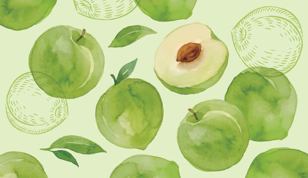 Watercolor Green Plum Seamless Pattern with Leaves Botanical Fruit Illustration