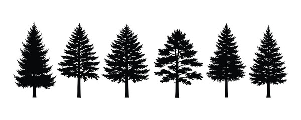 Silhouette of six pine trees on white background © ali mithu