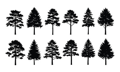Fototapeta premium Collection of various pine tree silhouettes on white background