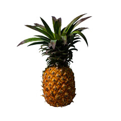 Fototapeta premium pineapple isolated on white background