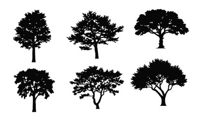 Fototapeta premium Collection of six distinct tree silhouettes