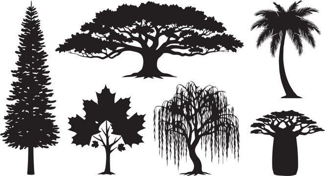 Diverse Forest Tree Silhouette and Nature Set