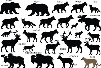 Wild animal silhouettes bear wolf fox reindeer moose mountain goat bison cougar deer wildlife diversity identification illustration design concept flat vector