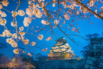 Osaka Castle  with blooming sakura in the foreground