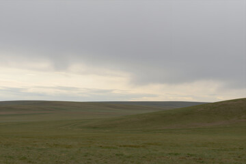 Fototapeta premium Expansive Grassy Plains under Overcast Sky with Rolling Hills and Muted Earth Tones Natural Landscape Photography for Travel or Environmental Design Projects
