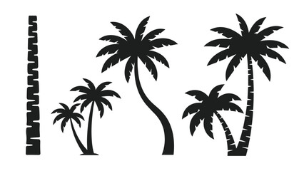 Fototapeta premium Vector set of black silhouettes of different palm tree species and a single patterned pole isolated on a white background.