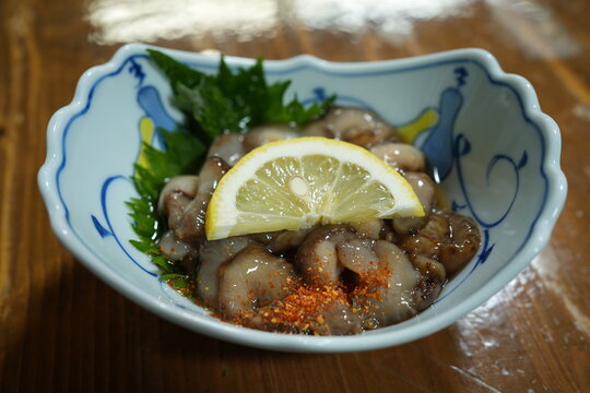 Japanese Cuisine Sea Cucumber Sashimi Namako-su Rare Seafood Delicacy - 日本料理 ナマコの刺身 なまこ酢