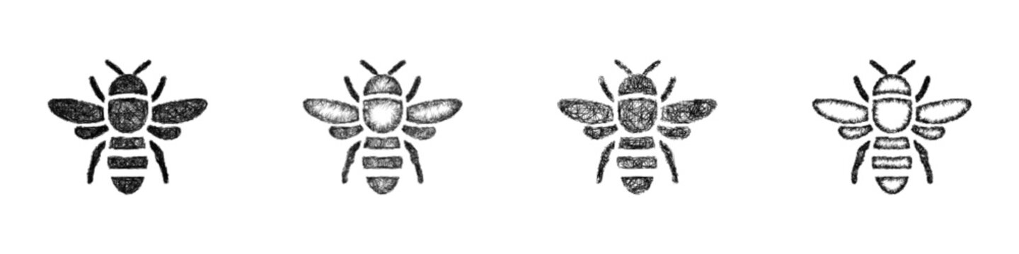 Sketch bee icon design set