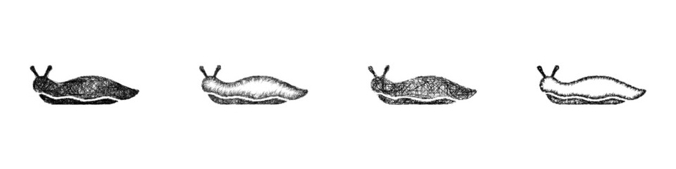 Obraz premium Sketch slug icon design set
