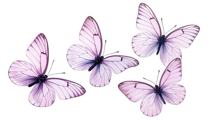 Delicate watercolor butterflies in varying positions, showcasing translucent wings, isolated on black