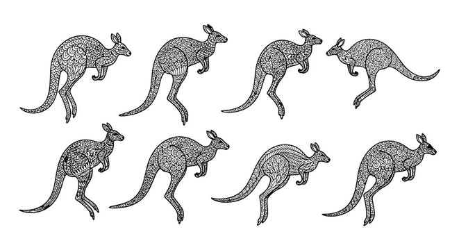 Intricate kangaroo illustrations in a monochrome decorative style