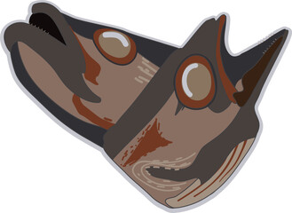 말린 생선대가리 육수용