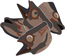 말린 생선대가리 육수용