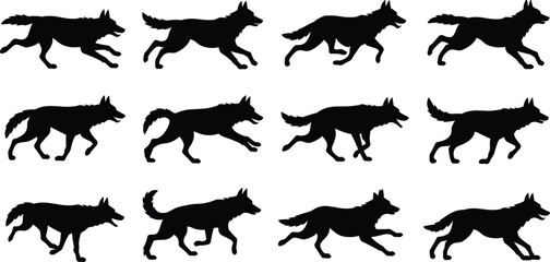 Wolf running cycle animation sequence, black silhouette silhouettes of wild dog canis lupus in various gallop poses, cad drawing flat vector illustration, isolated