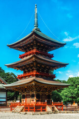 Fototapeta premium Shinshoji pagoda Narita temple in Japan