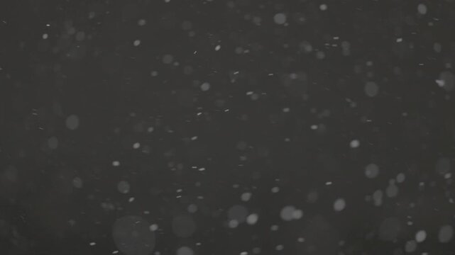 Slow motion falling snow particles on dark background, cinematic winter atmosphere with dense blizzard effect, swirling flakes, bokeh for overlays. ProRes 422, 10 bit ungraded C-LOG2, Slow motion vide