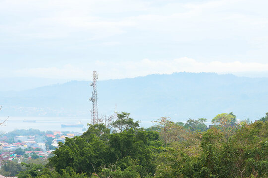 green forest view with hill and city background on the side