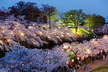 Naklejka premium Under the twilight sky, Takada Castle emerges like a dream, wrapped in a pale pink haze of cherry blossoms. Golden lanterns cast a warm glow, turning the moat into a mirror of shimmering light and fal