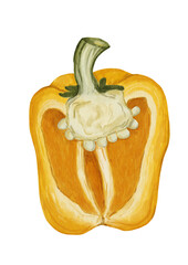 Watercolor yellow bell pepper cut in half isolated on white background, sweet paprika food illustration