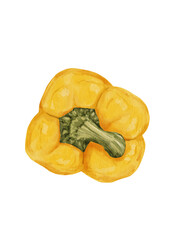 Watercolor yellow bell pepper top view isolated on white background, sweet paprika vegetable illustration