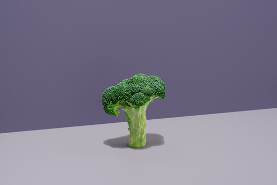 Florete de br&oacute;coli en pie sobre fondo morado	