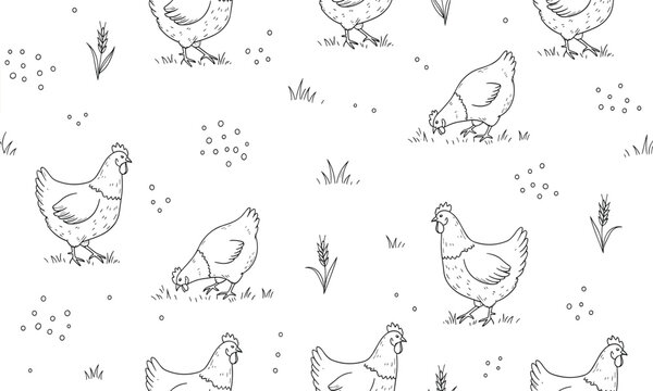 Black and white chicken pattern illustration