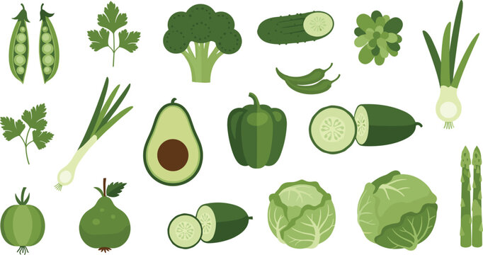 Flat vector illustration of fresh green vegetables including broccoli avocado bell pepper cucumber cabbage peas and asparagus for healthy organic nutrition and diet concepts.